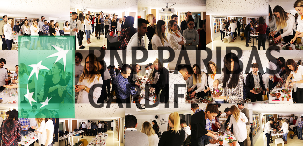 BNP Paribas Cardif Terrarium Atlyesi